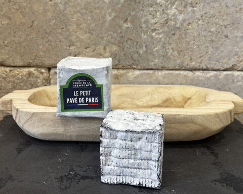 Le petit pavé de Paris